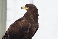 DSC06103.jpg