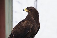 DSC06104.jpg