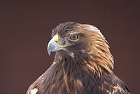 DSC05861.JPG
