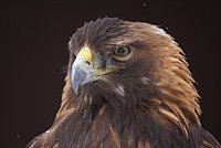 DSC05866.JPG