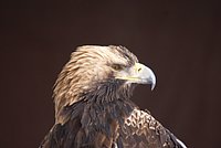 DSC05917.JPG
