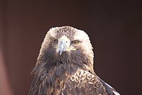 DSC05920.JPG