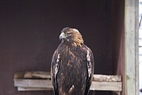 DSC05976.JPG