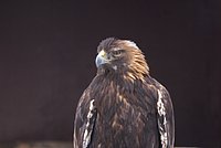 DSC05977.JPG