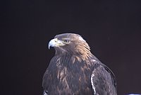 DSC06123.JPG