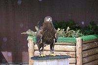 DSC05875.jpg