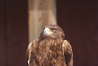 DSC05909.jpg
