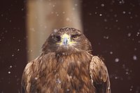 DSC05910.jpg