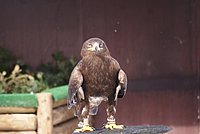 DSC05987.jpg