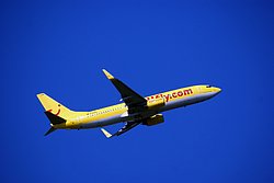 D-AHFR.jpg