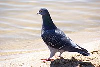 DSC01357.JPG