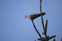DSC04619.JPG