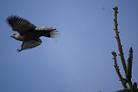 DSC04621.JPG
