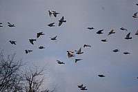 DSC04727.JPG