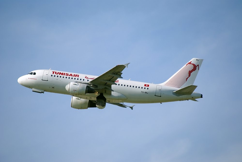 TS-IMJ.JPG
