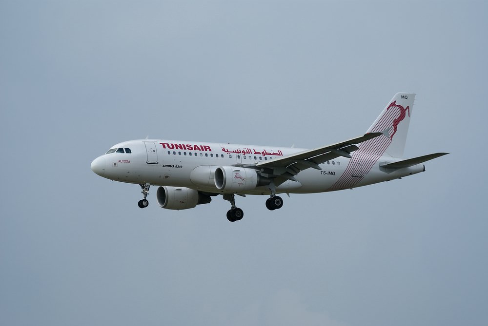 TS-IMQ.JPG