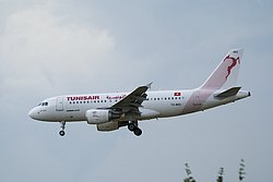 TS-IMQ-1.JPG