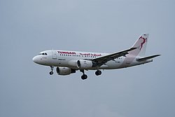 TS-IMQ.JPG
