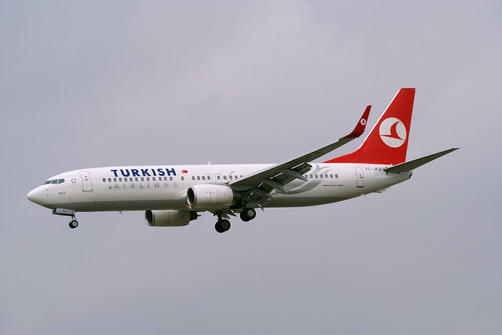 TC-JFZ.JPG