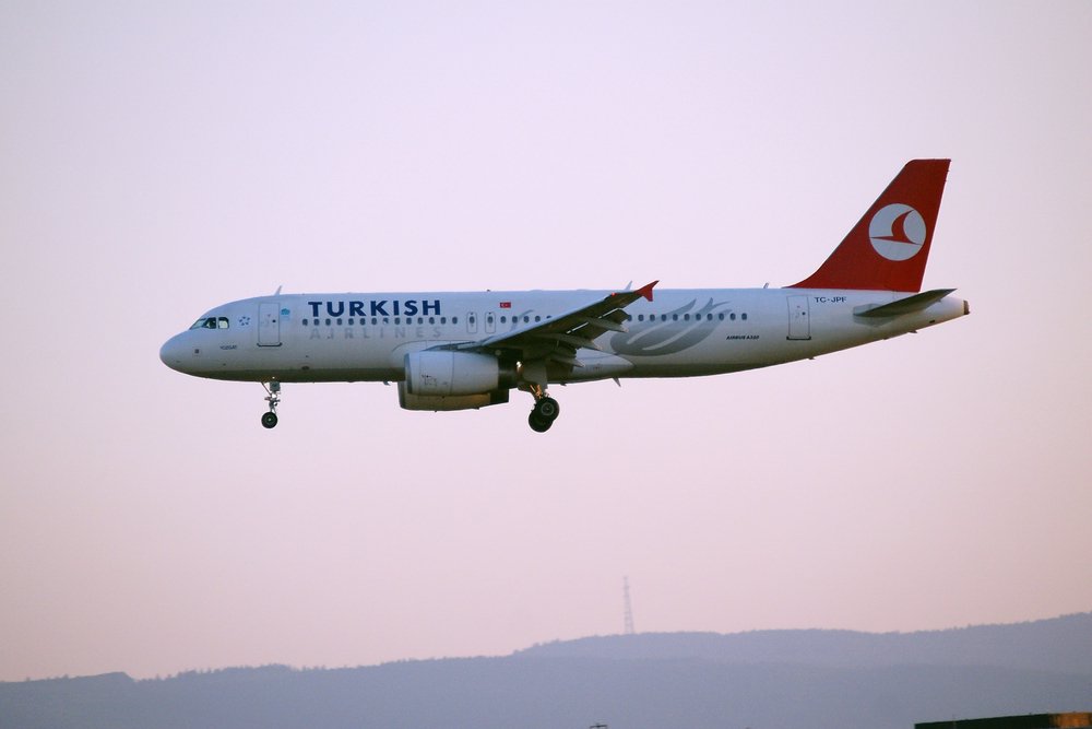 TC-JPF.JPG