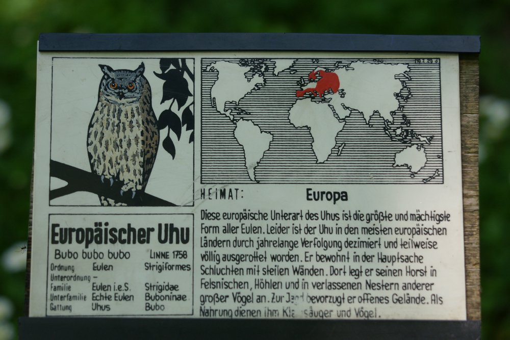 Uhu-009.JPG