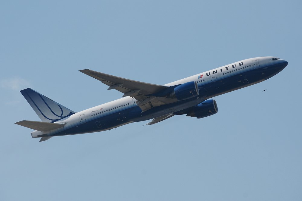 N774-1.JPG