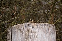 DSC04824.JPG