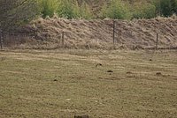 DSC04828.JPG