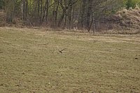 DSC04831.JPG