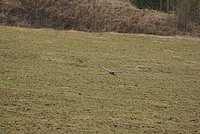 DSC04833.JPG