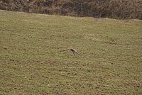 DSC04834.JPG
