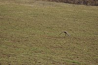 DSC04835.JPG