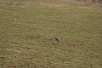 DSC04836.JPG