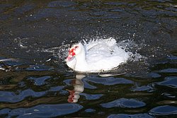 DSC07552.jpg