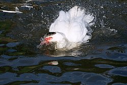 DSC07553.jpg
