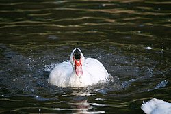 DSC07577.jpg