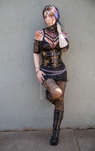 the_dark_shieldmaideng.jpg