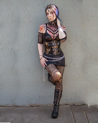 the_dark_shieldmaideng Kopie-b.jpg