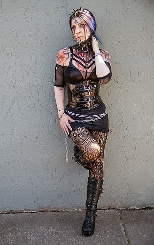 the_dark_shieldmaideng.jpg