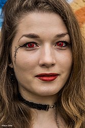 042.jpg