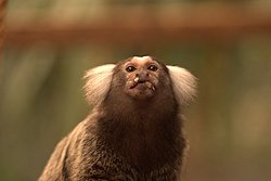 DSC05150.jpg