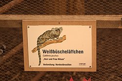 DSC05163.jpg