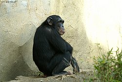 DSC01971.jpg
