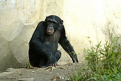 DSC01972.jpg