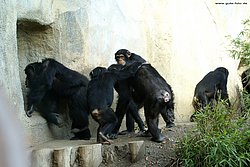 DSC01974.jpg