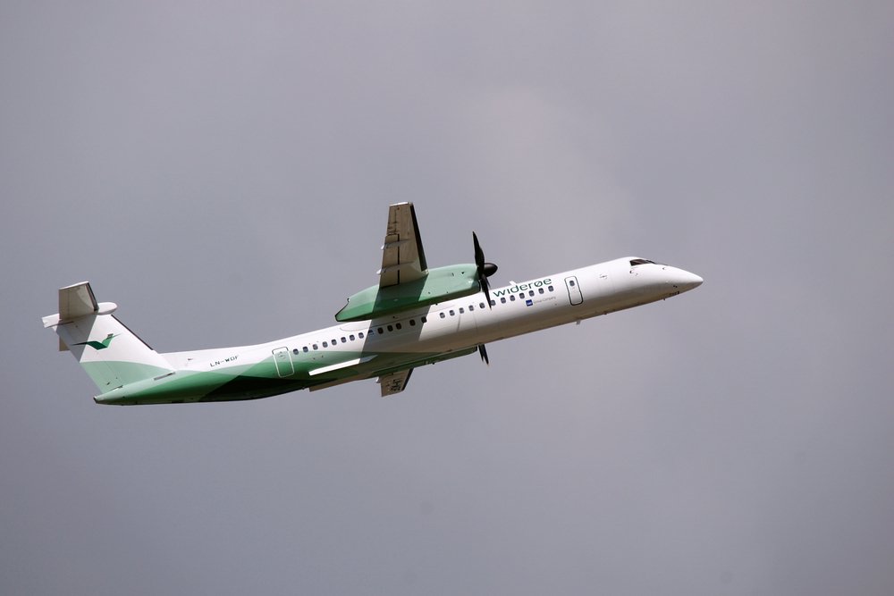 LN-WDF-1.JPG