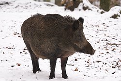 DSC05291.JPG