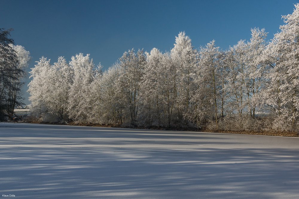 Winter-003.jpg