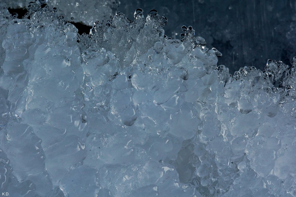 Winter-028.jpg