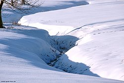 W-008.jpg